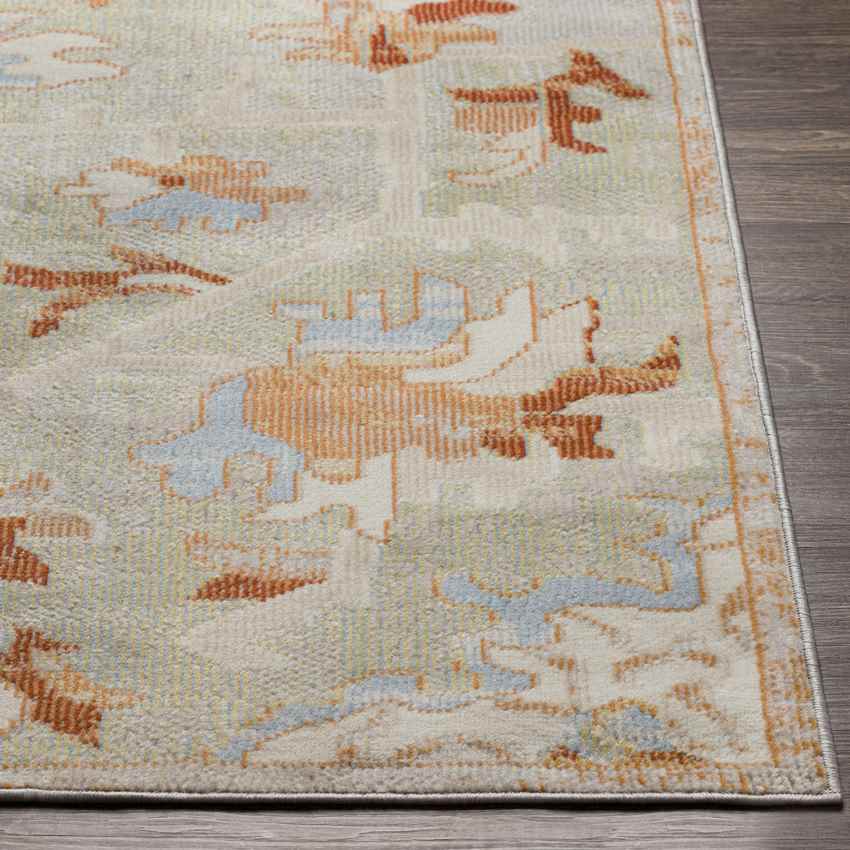 Crest Hill Traditional Sage Area Rug