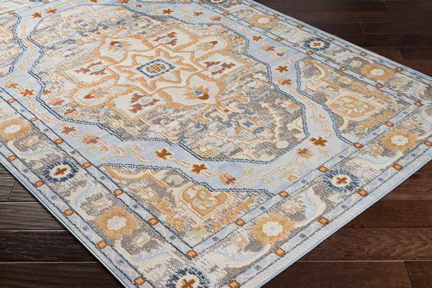 Creve Coeur Traditional Cider Area Rug