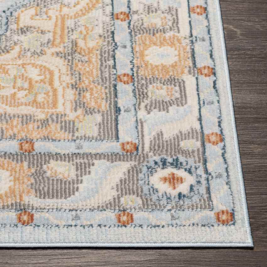 Creve Coeur Traditional Cider Area Rug