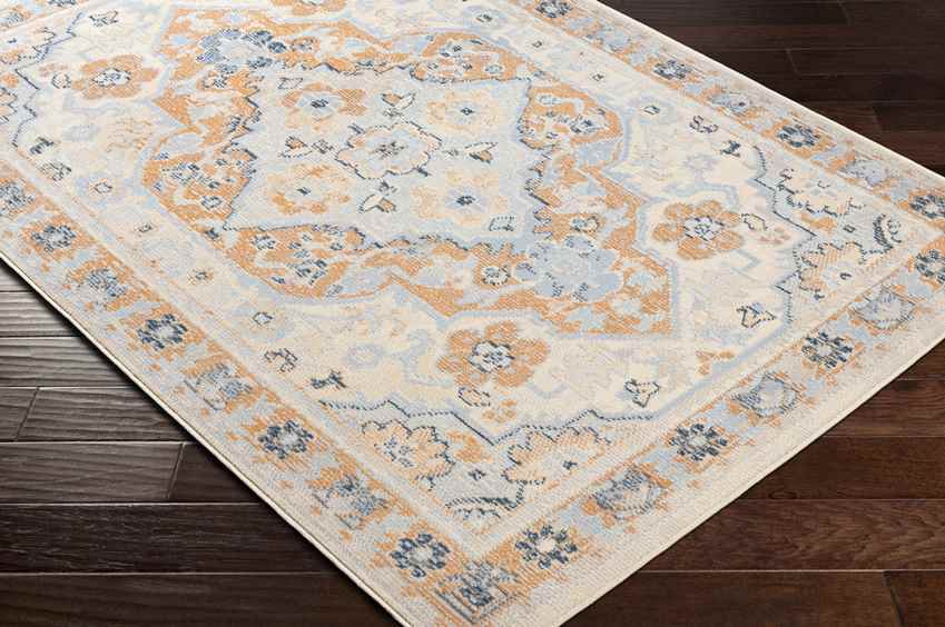 Crystal Lake Traditional Burnt Orange Area Rug