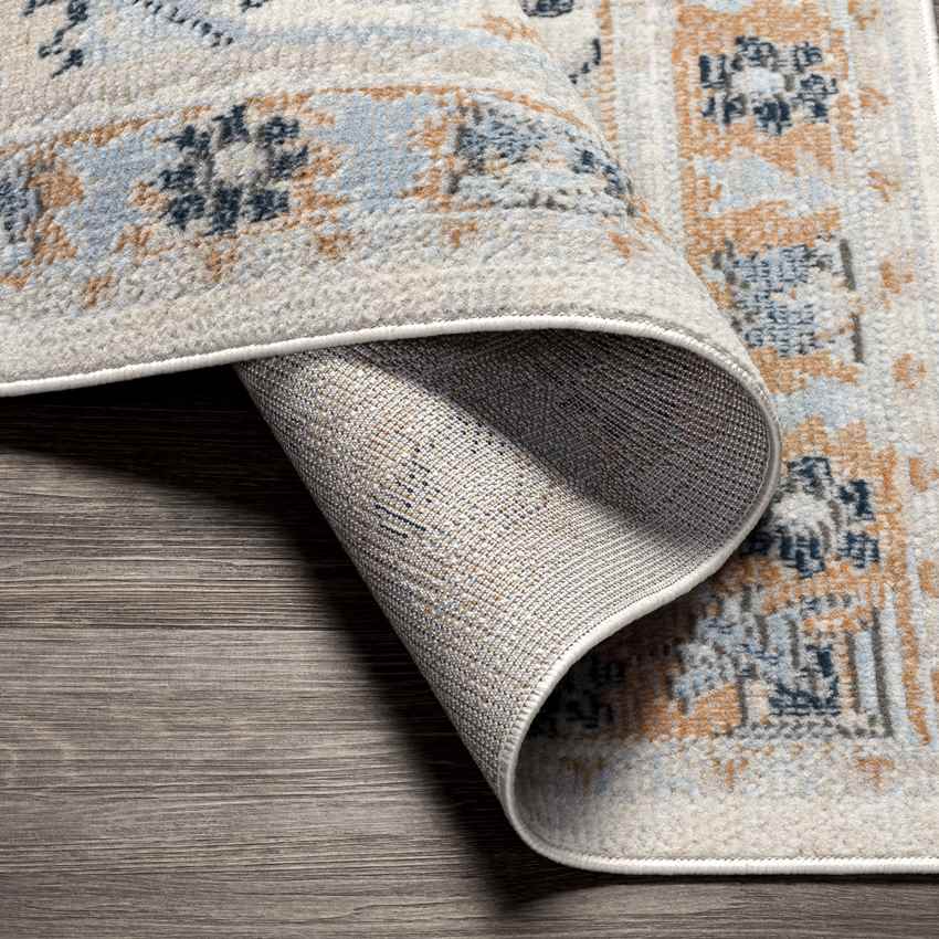 Crystal Lake Traditional Burnt Orange Area Rug