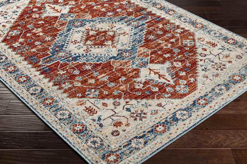 Vermillion Traditional Rust Area Rug