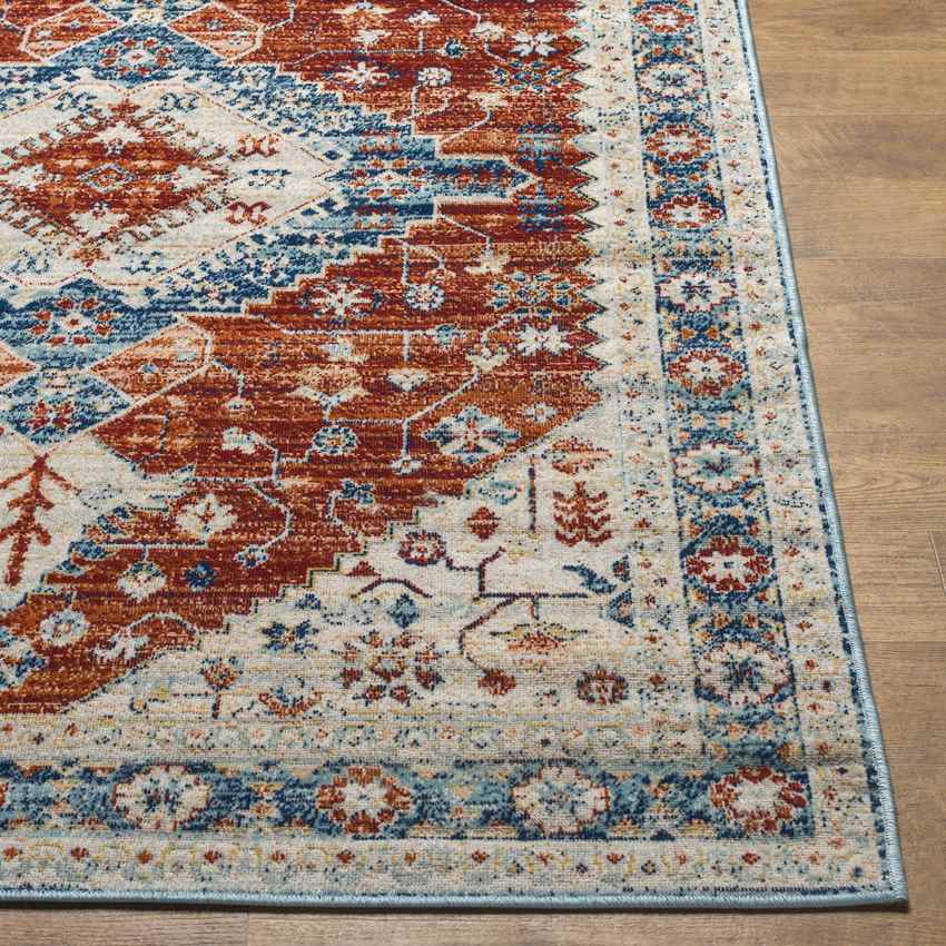 Vermillion Traditional Rust Area Rug