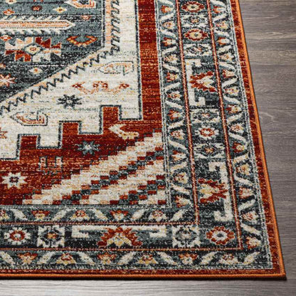 Alfordsville Traditional Burnt Orange Area Rug