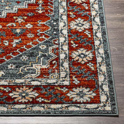 Andrews Traditional Burnt Orange Area Rug