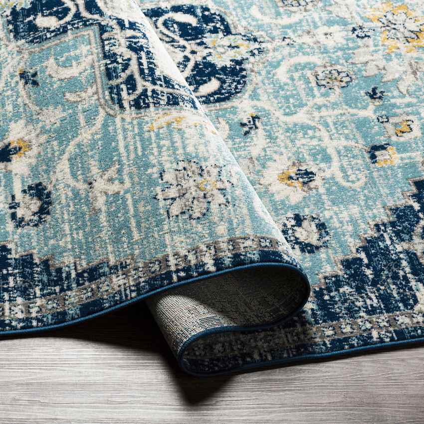 Bargersville Traditional Sky Blue Area Rug