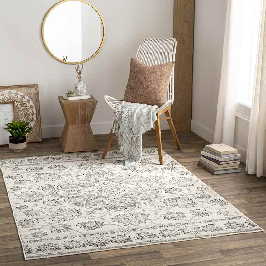 Beverly Shores Traditional Gray Area Rug