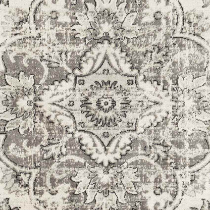 Beverly Shores Traditional Gray Area Rug