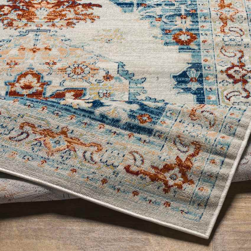 Burket Traditional Cream Area Rug