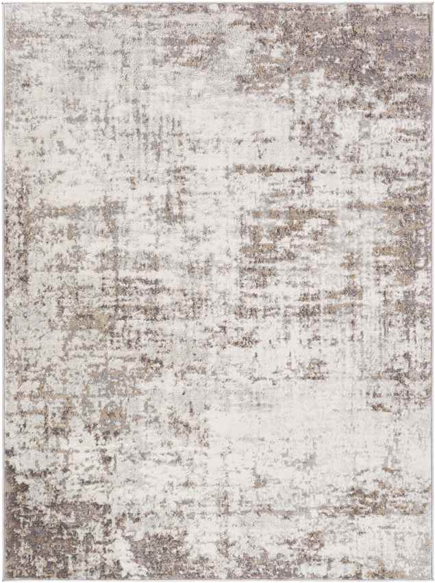 Sherborne Modern Medium Gray Area Rug