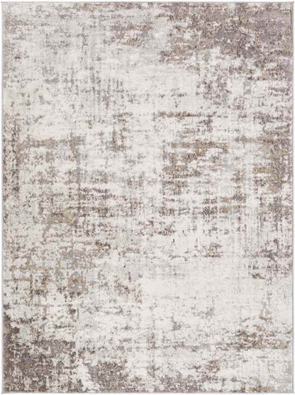 Sherborne Modern Medium Gray Area Rug