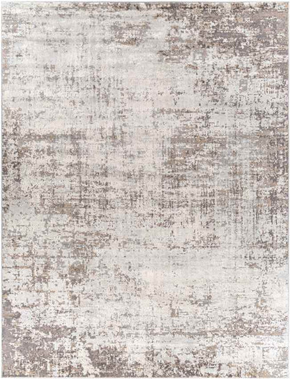 Sherborne Modern Medium Gray Area Rug