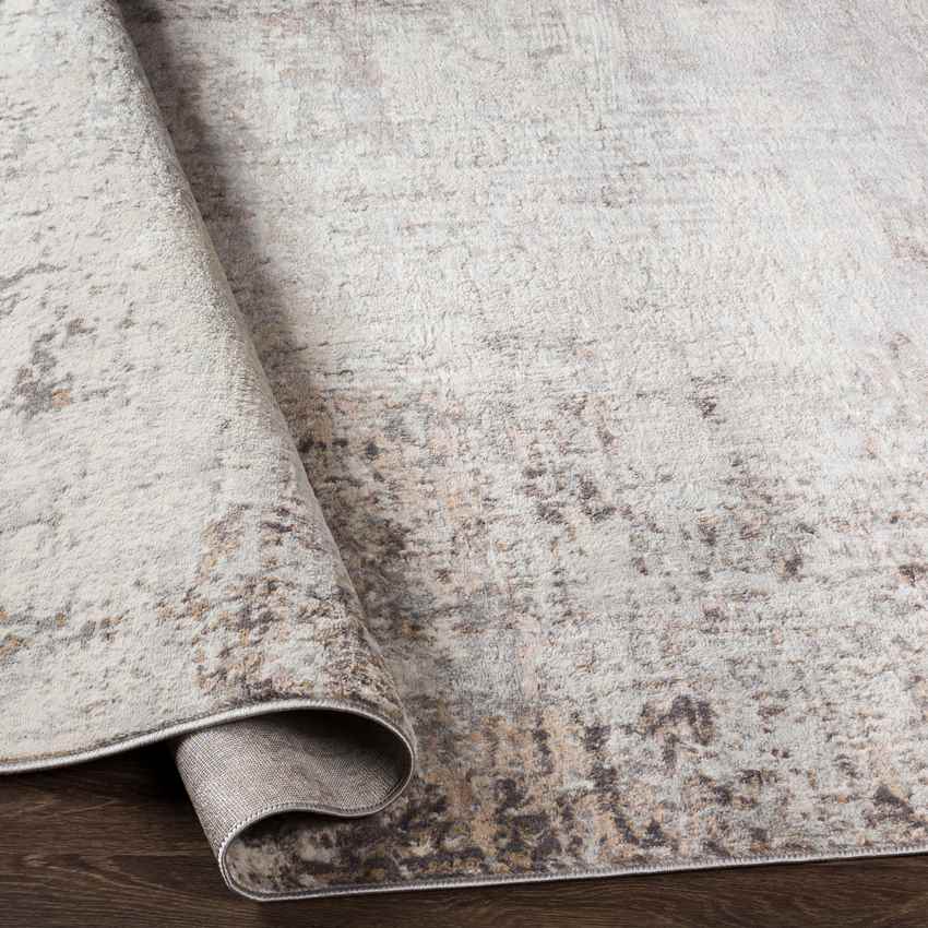 Sherborne Modern Medium Gray Area Rug