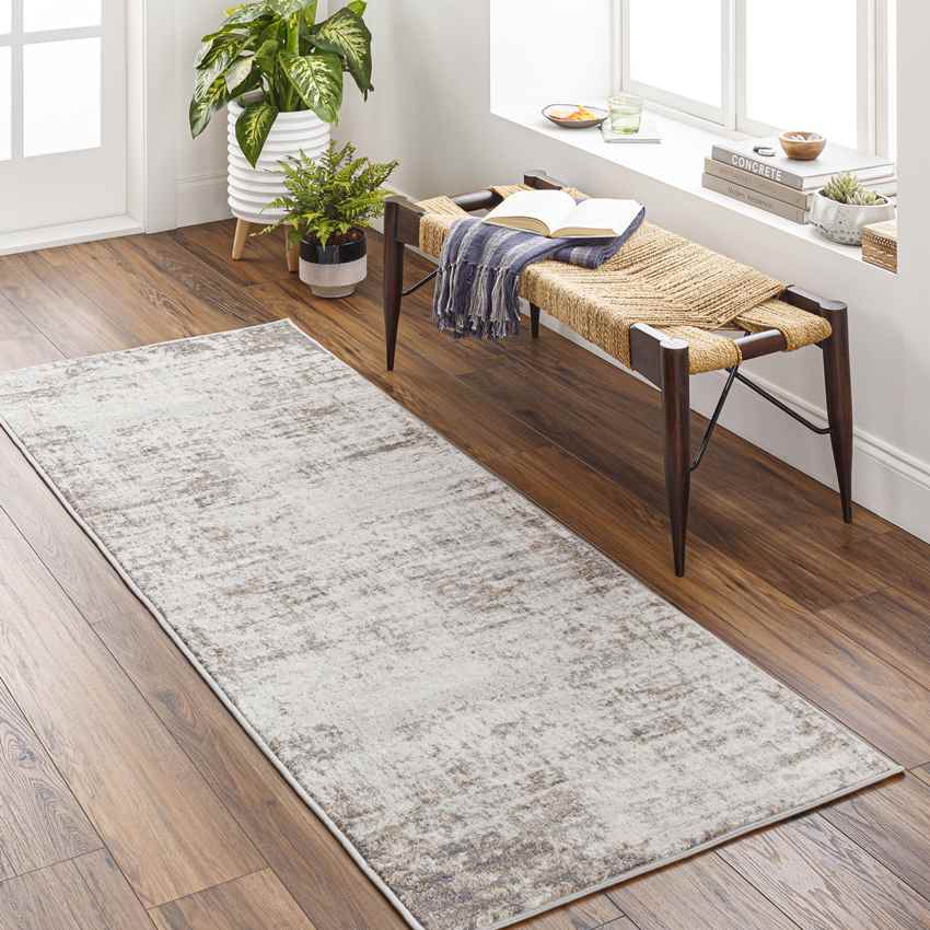 Sherborne Modern Medium Gray Area Rug