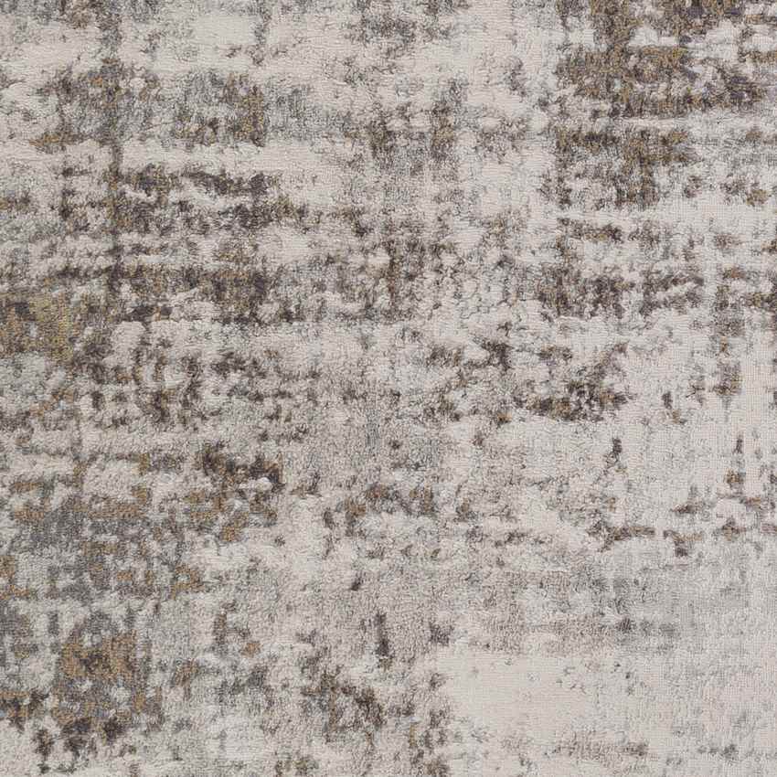 Sherborne Modern Medium Gray Area Rug
