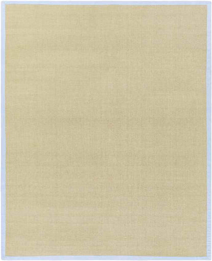 Camborne Global Sky Blue Area Rug