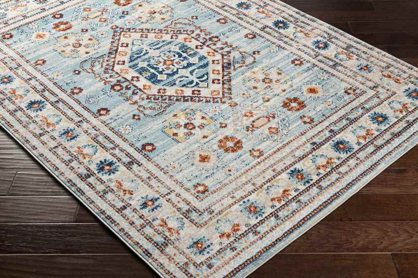 Cadiz Traditional Sky Blue Area Rug