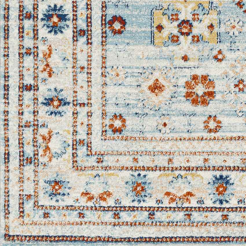Cadiz Traditional Sky Blue Area Rug