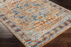 Cannelburg Traditional Burnt Orange Area Rug