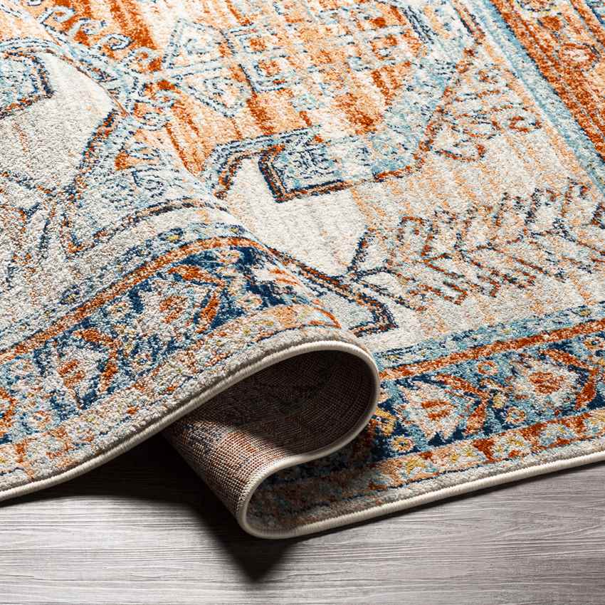 Cedar Grove Traditional Burnt Orange Area Rug