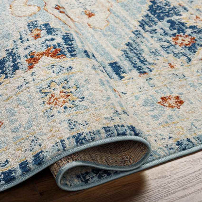 Cedar Lake Traditional Blue Area Rug