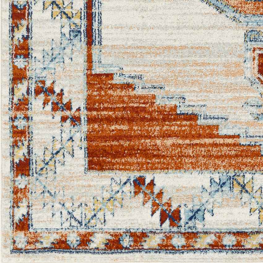 Center Point Traditional Burnt Orange Area Rug