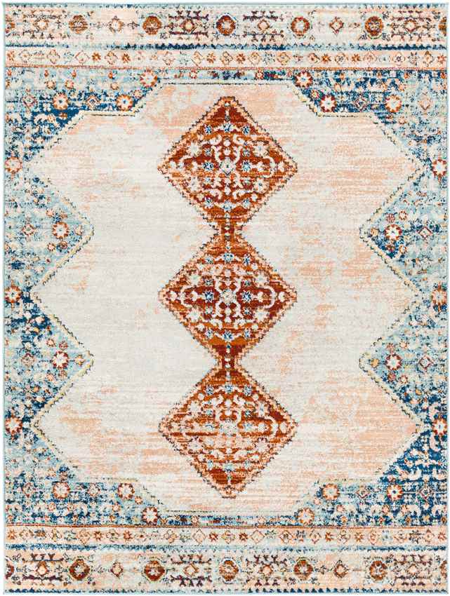 Charlottesville Traditional Burnt Orange Area Rug