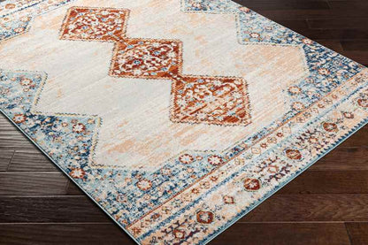 Charlottesville Traditional Burnt Orange Area Rug