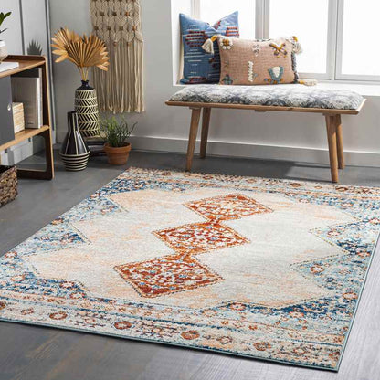 Charlottesville Traditional Burnt Orange Area Rug