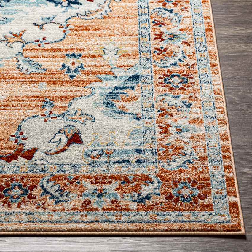 Mhilea Traditional Cider Area Rug