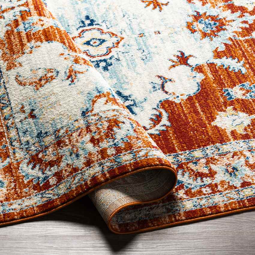 Mhilea Traditional Tangerine Area Rug