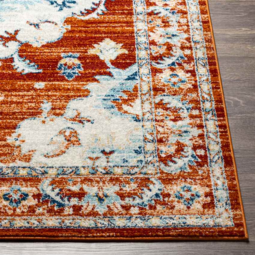 Mhilea Traditional Tangerine Area Rug