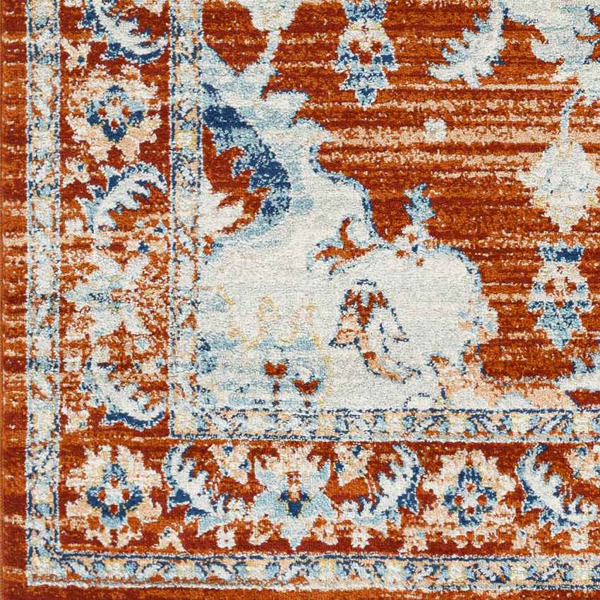 Mhilea Traditional Tangerine Area Rug
