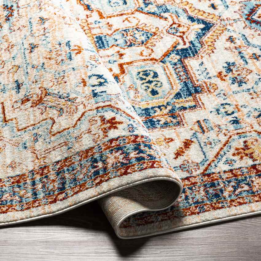 Chesterton Traditional Burnt Orange Area Rug