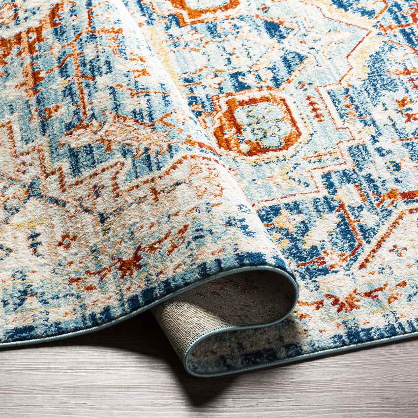 Chesterton Traditional Navy Area Rug