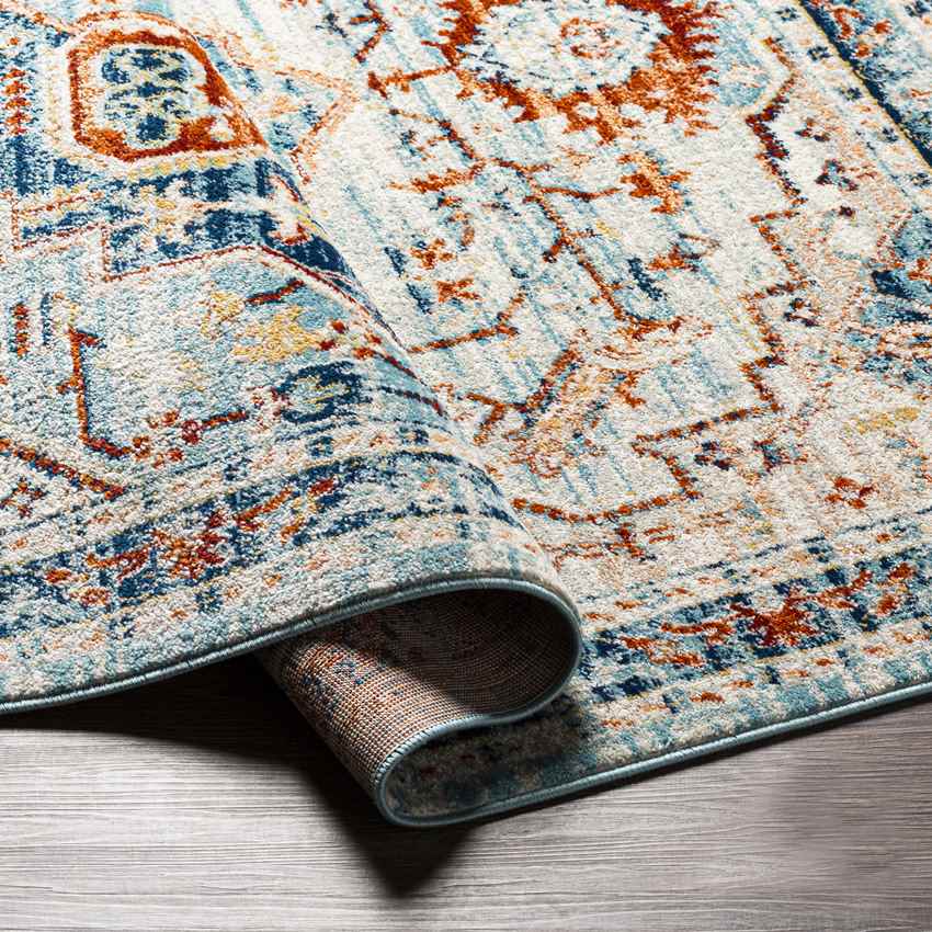 Chesterton Traditional Denim Area Rug