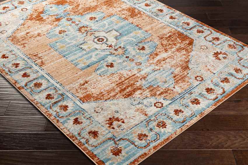 Chrisney Traditional Burnt Orange Area Rug