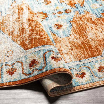 Chrisney Traditional Burnt Orange Area Rug