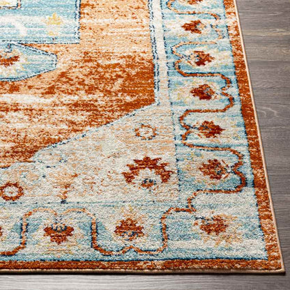 Chrisney Traditional Burnt Orange Area Rug