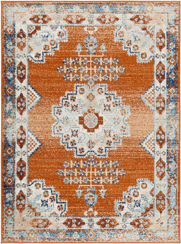 Churubusco Traditional Tangerine Area Rug