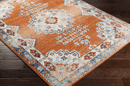 Churubusco Traditional Tangerine Area Rug