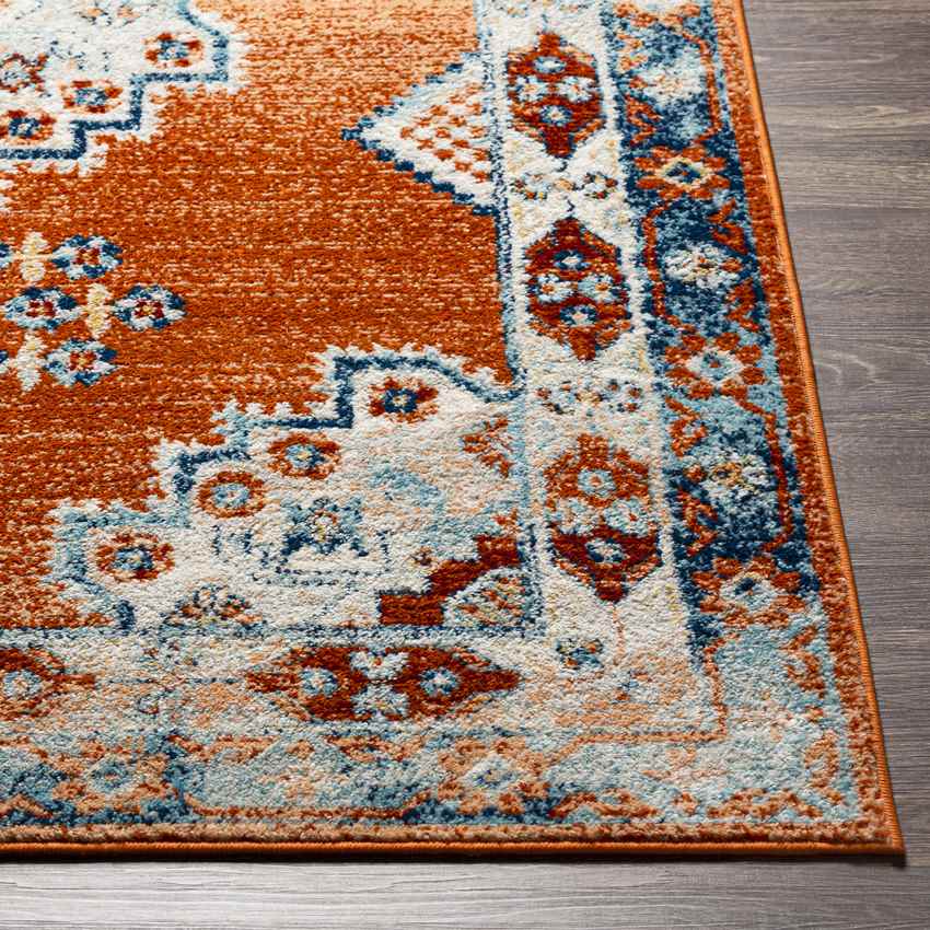 Churubusco Traditional Tangerine Area Rug