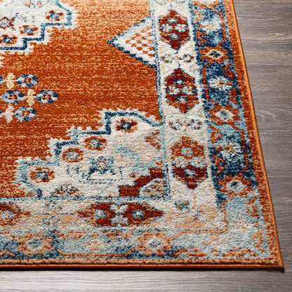 Churubusco Traditional Tangerine Area Rug