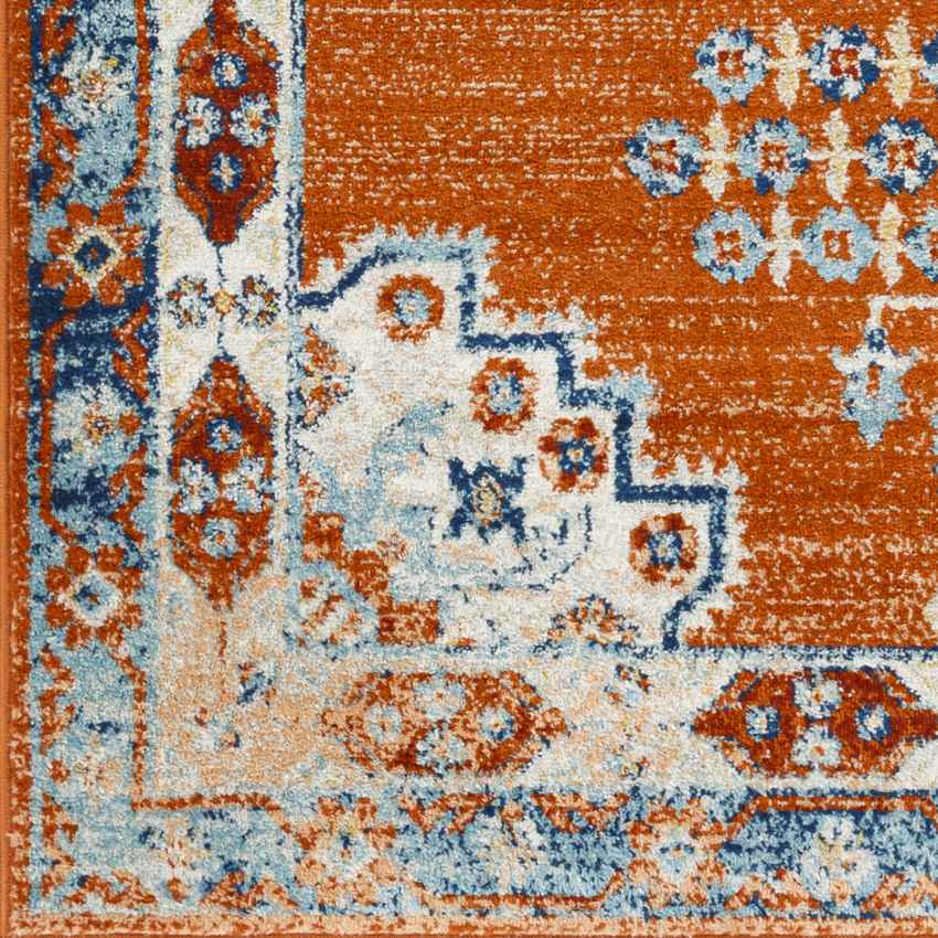 Churubusco Traditional Tangerine Area Rug