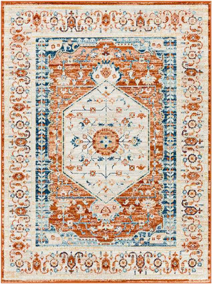 Clarks Hill Traditional Burnt Orange Area Rug