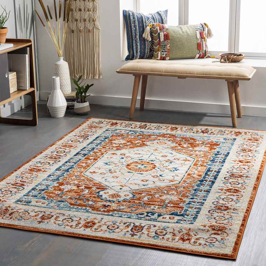 Clarks Hill Traditional Burnt Orange Area Rug