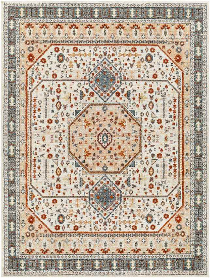 Coatesville Traditional Burnt Orange Area Rug