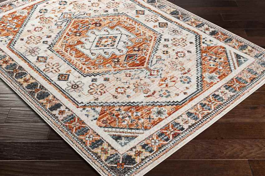 Corunna Traditional Burnt Orange Area Rug