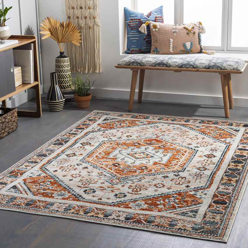 Corunna Traditional Burnt Orange Area Rug