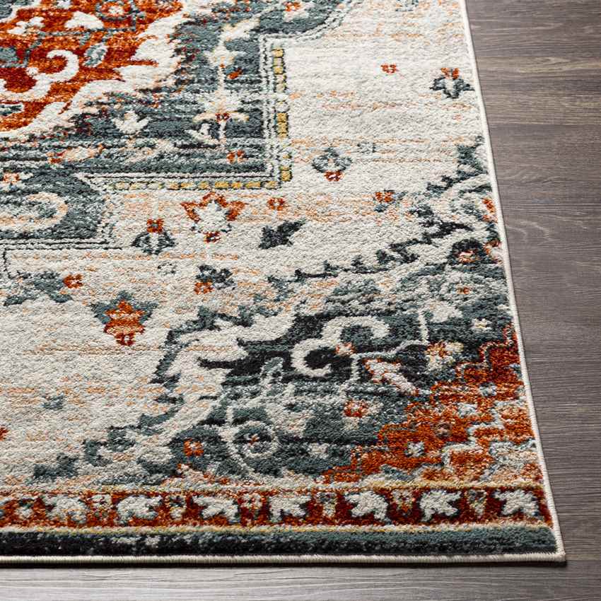 Sam Traditional Burgundy Area Rug